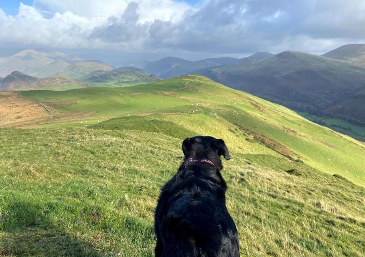 The Barn At Geufron Farm - Dog Friendly - Nr Tywyn Βίλα Bryn-crug Εξωτερικό φωτογραφία