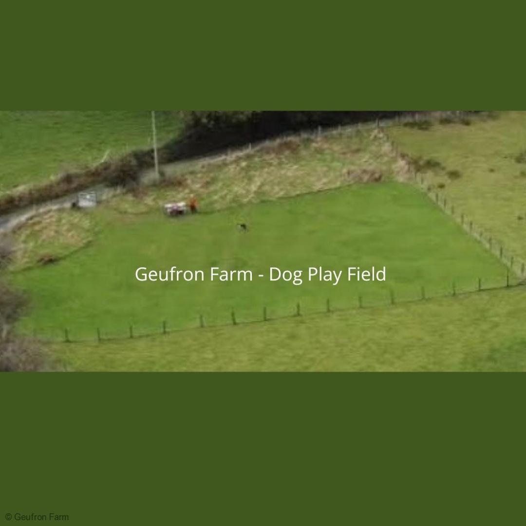 The Barn At Geufron Farm - Dog Friendly - Nr Tywyn Βίλα Bryn-crug Εξωτερικό φωτογραφία